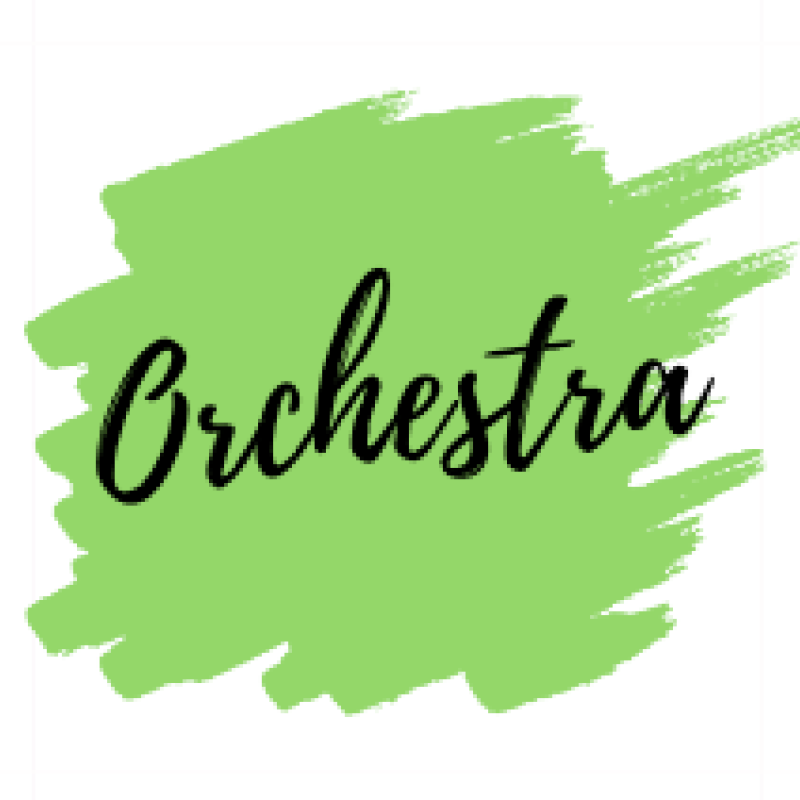 Orchestra - Mrs. Ferguson