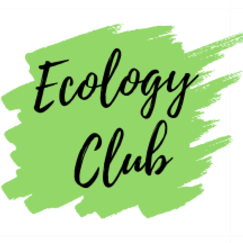 ecology club button